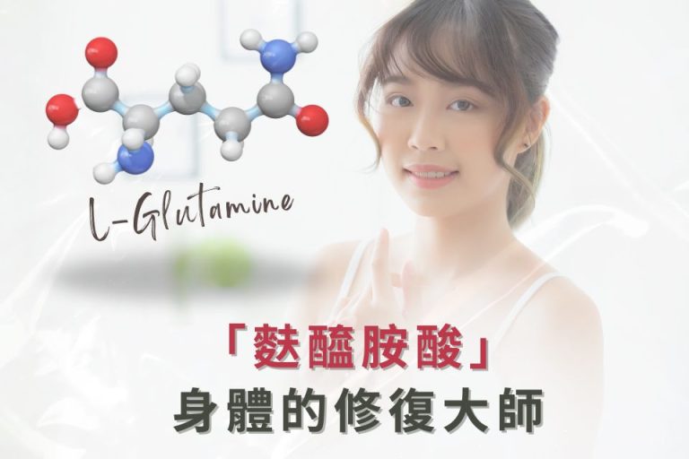 L-Glutamine,修復身體的關鍵分子,幫助提升身體健康。