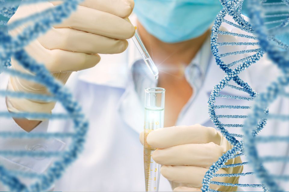 科學家進行DNA實驗,操作試管並加入液體。