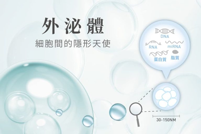 外泌體為細胞間的隱形天使,大小約30-150奈米,內含DNA、RNA、miRNA、蛋白質與脂質等活性成分,具有修復與傳遞功能。